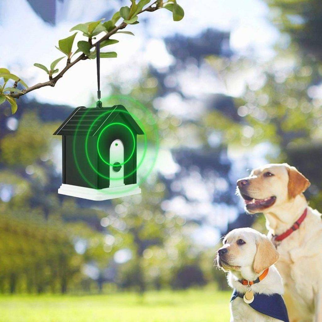 Bark Begone Reviews for 2021Best Dog Barking Deterrent [No 7 is Excellent]