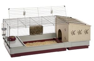 hedgehog cages and supplies