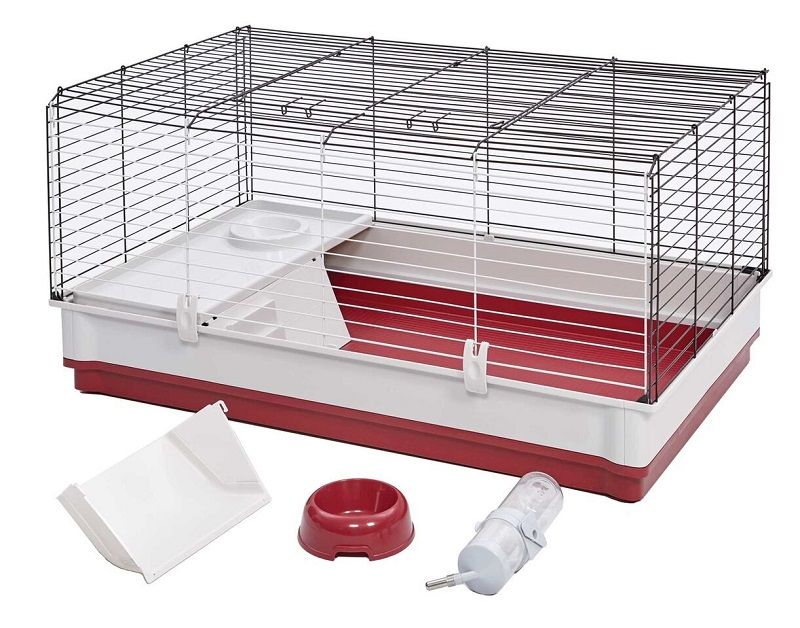 Best Cage For a Hedgehog In 2019[Reviews and Buying Guide]