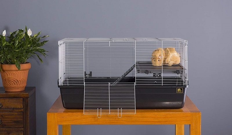 cage for a hedgehog reviews