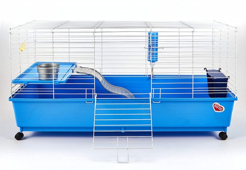 Best Cage For A Hedgehog In 2019 Reviews And Buying Guide,Bridal Shower Games Pinterest