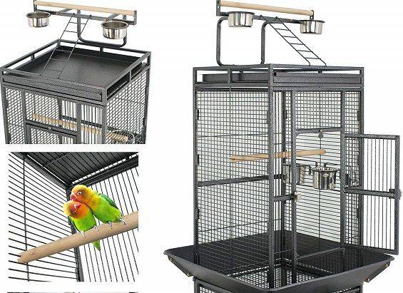 Nova Microdermabrasion parakeet cage
