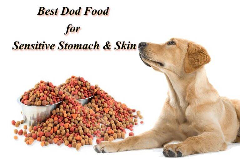 Best Dog Food for Sensitive Stomach and Skin [Top #10 Choices]
