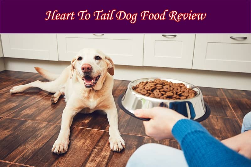 Heart To Tail Dog Food Reviews