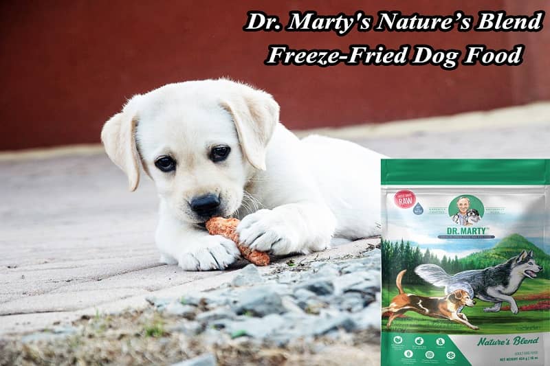 dr marty's freeze dried dog food reviews