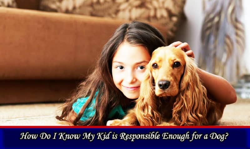 How Do I Know My Kid is Responsible Enough for a Dog