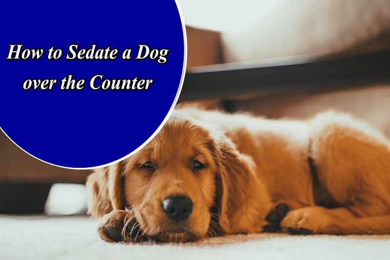 How to Sedate a Dog over the Counter
