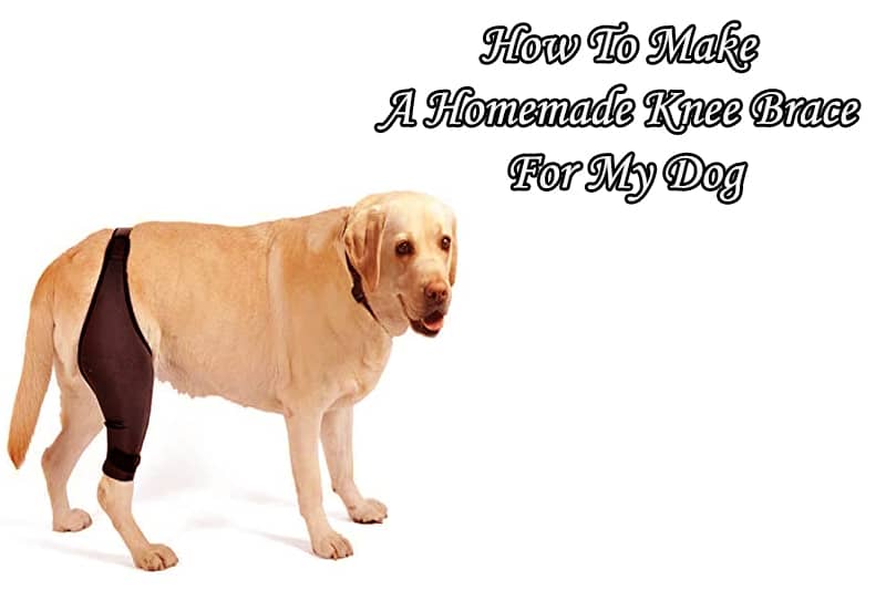 How To Make A Homemade Knee Brace For My Dog - Diy Knee Brace For Dogs