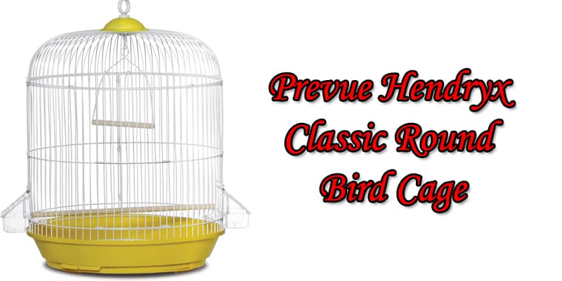 Prevue Hendryx Classic Round Hanging Bird Cage