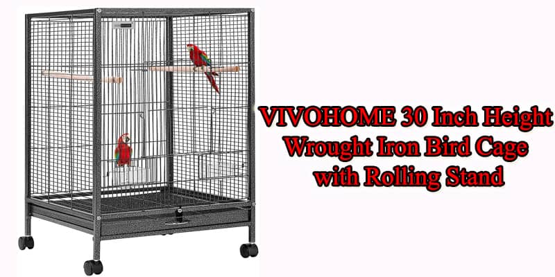 large floor bird cage reviews