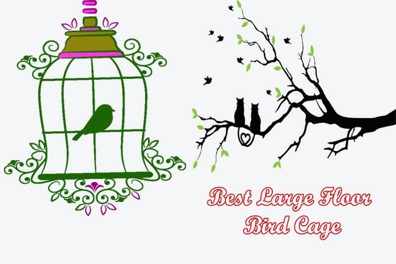 best large floor bird cage