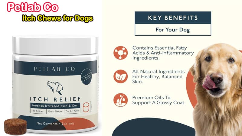 Petlab Co. Anti Itch Chews for Dogs