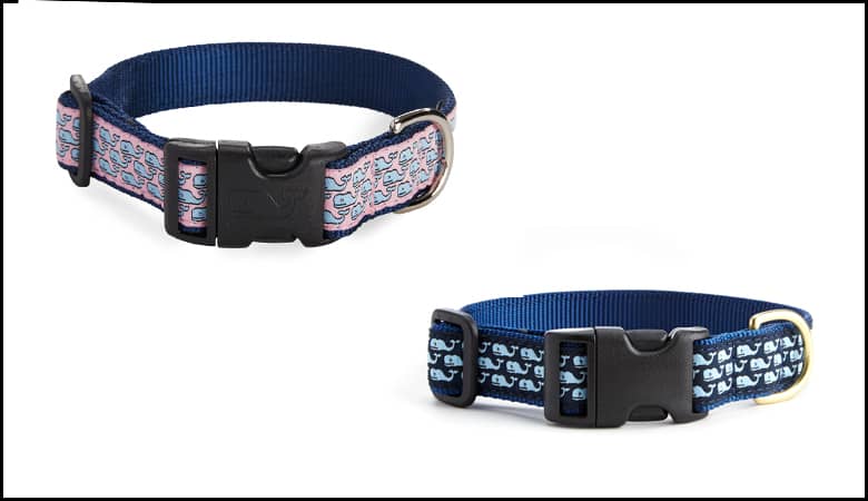 Vineyard Vine Dog Collar