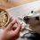 Can Dogs Eat Popcorn? Vet Weighs In